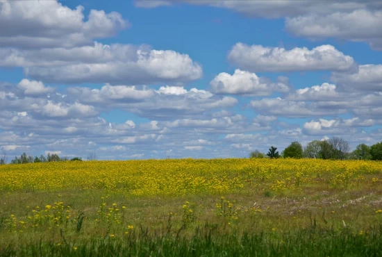 Uncover the Hidden Gems: Attractions and Activities in Hillsboro, OH